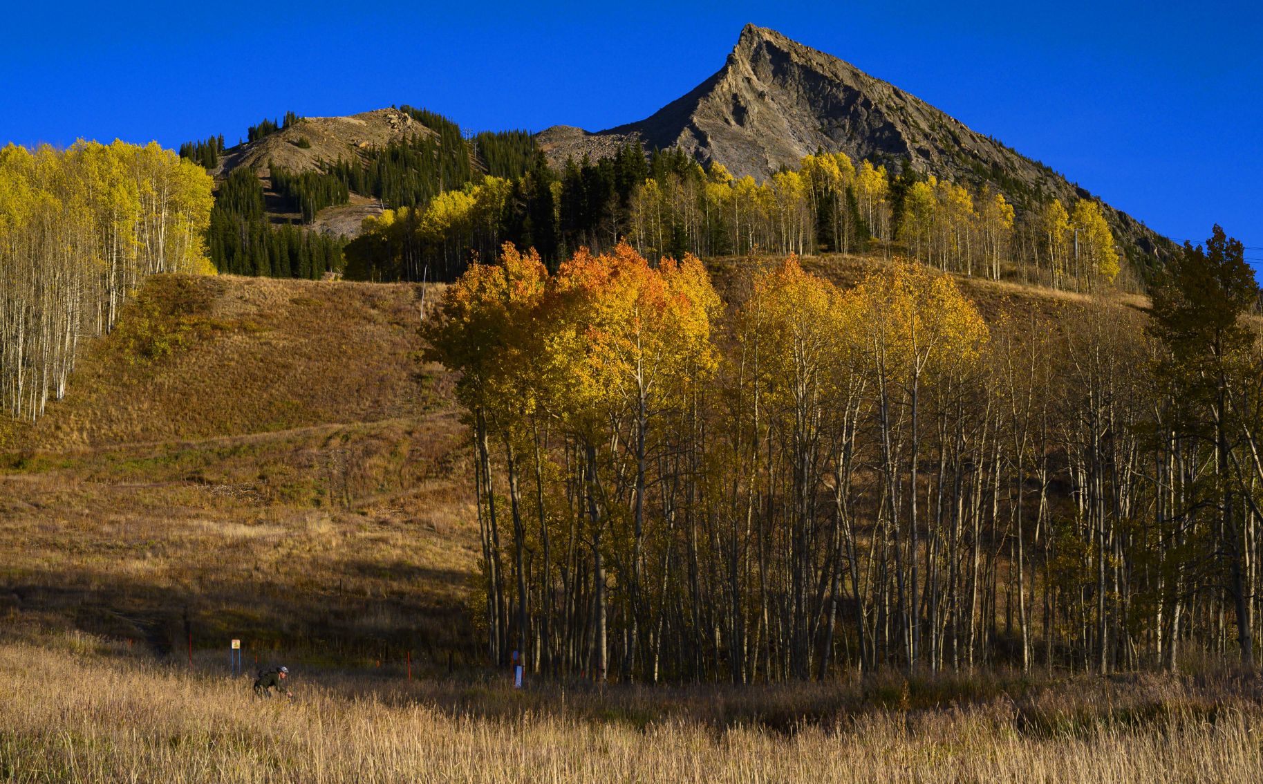 10_06_19 crested butte0355.JPG